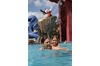 image 6 for Disneys All Star Movies Resort in Disney Orlando, Walt Disney World Resort