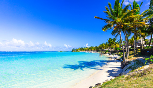 Palm trees on a white sand beach by clear blue sea in Mauritius, in the Indian Ocean