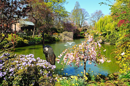 Pond and gardens in Quarry Park, Shrewsbury