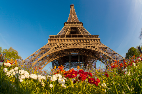 Disabled Holidays in Paris